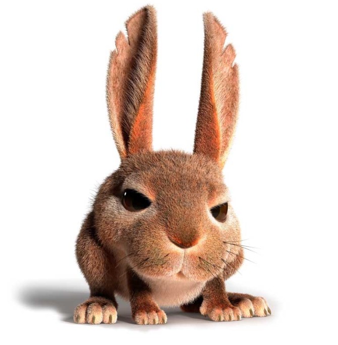 تصویر سه بعدی از خرگوش منتظر