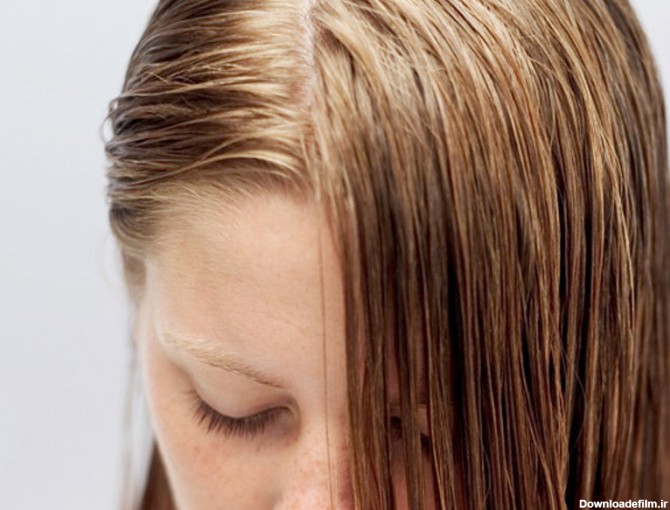 آخرین خبر | پوست و مو/ راه های جلوگیری از چرب شدن مو