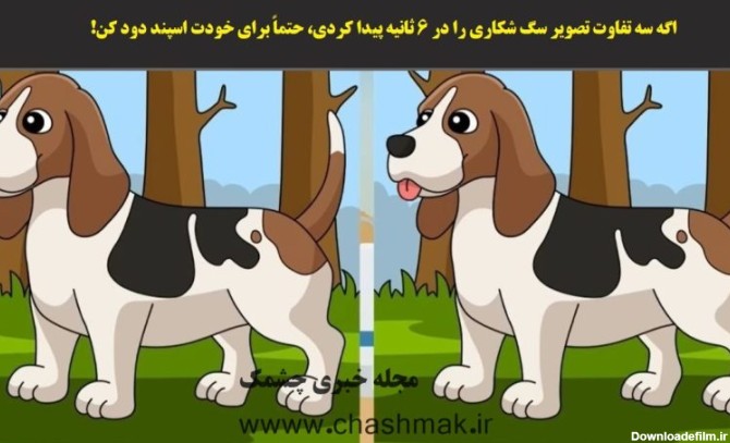 آزمون تصویری شناخت تفاوت تصویر سگ