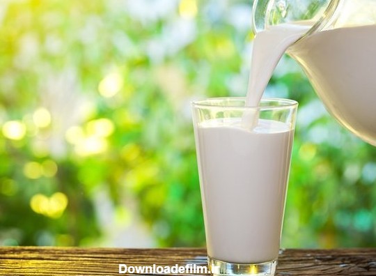 ۵ باور اشتباه درباره شیر گاو - همشهری آنلاین