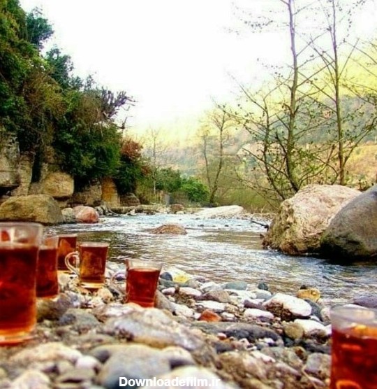 آخرین خبر | از شما/خوردن چاي اتيشي در طبيعت زيباي مازندران