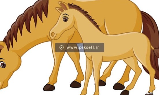 دانلود طرح کارتونی اسب و بچه اسب های قهوه ای