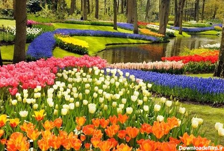 تصاویری از زیباترین باغ‌های جهان | بزرگترین پارک لاله آسیا ...