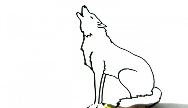 عکس نقاشی بچه گرگ
