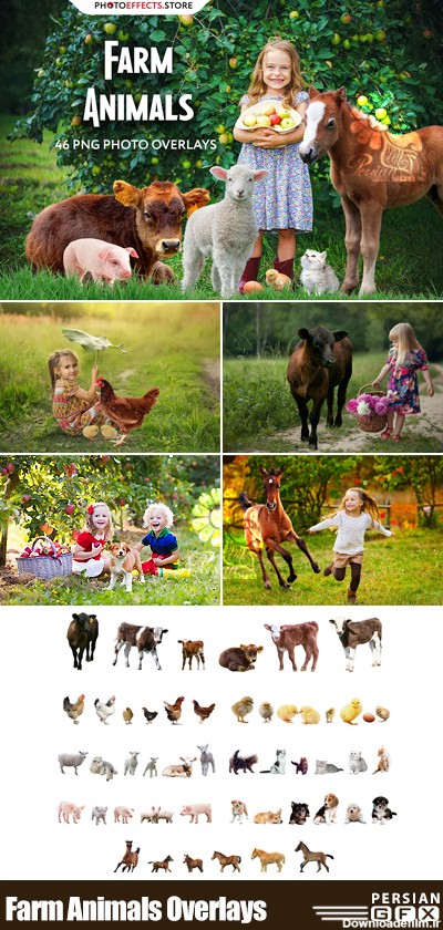 دانلود 46 کلیپ آرت حیوانات مختلف مزرعه شامل گاو، گوسفند، جوجه، اسب، سگ و ... - Farm Animals Photo Overlays