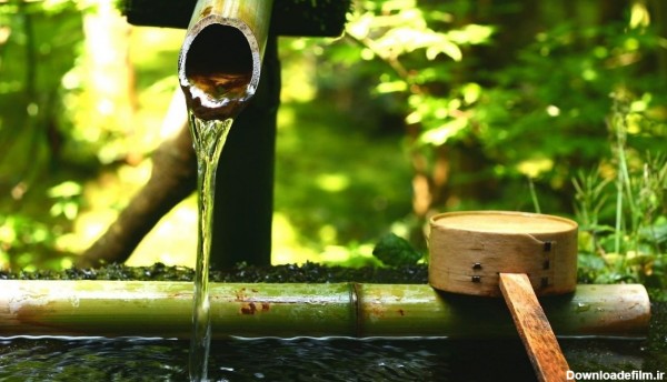 عکس چشمه آب با درخت بامبو در طبیعت ژاپن