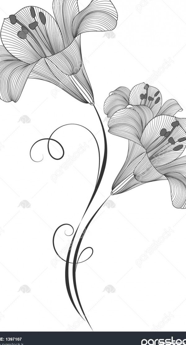 عکس طراحی از گل