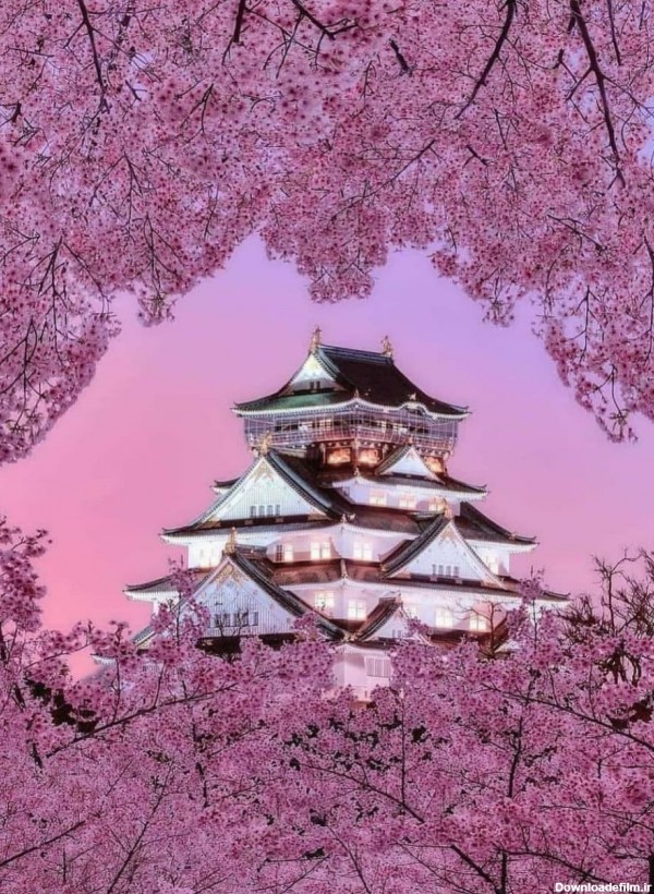 طبیعت زیبای ژاپن + عکس