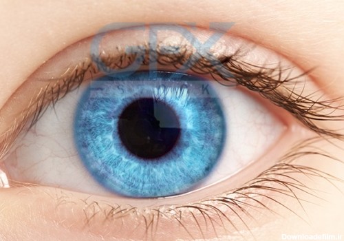 دانلود عکس زیبای چشم آبی