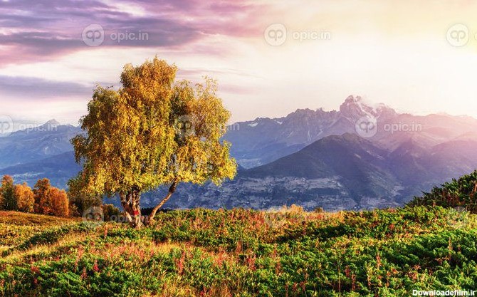 دانلود عکس منظره پاییزی و کوه های برفی در کومولوس زیبا | اوپیک