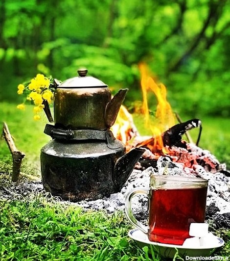 عکس چایی در طبیعت