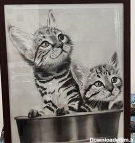 قیمت و خرید تابلو تزئینی نقاشی سیاه قلم عکس دو گربه در سطل