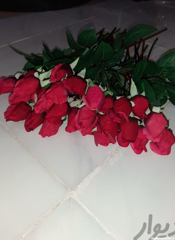 دو مدل گل رز اولی ۱۹ شاخه و عکس سوم ۱۰ شاخه|گل مصنوعی|اصفهان, بزرگمهر|دیوار