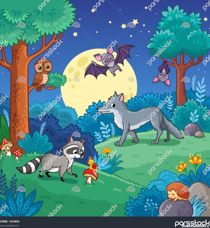 زمینه با حیوانات در جنگل شب تصویر برداری با گرگ راکون خفاش ...