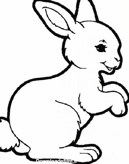 نقاشی خرگوش کودکانه و انواع رنگ آمیزی خرگوش های بامزه