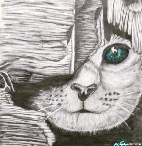 خرید و قیمت قاب نقاشی سیاه قلم گربه از غرفه انجیرکده مهربان