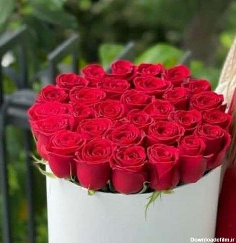 گل رز قرمز قشنگ a774 09129410059- ارسال گل در محل تهران 09129410059