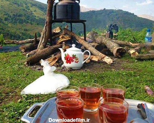 بفرمایید چای عصرانه در طبیعت ! - عکس ویسگون