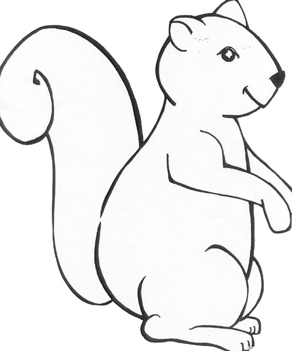 ۲۵ نمونه متنوع نقاشی سنجاب برای کودکان - ستاره