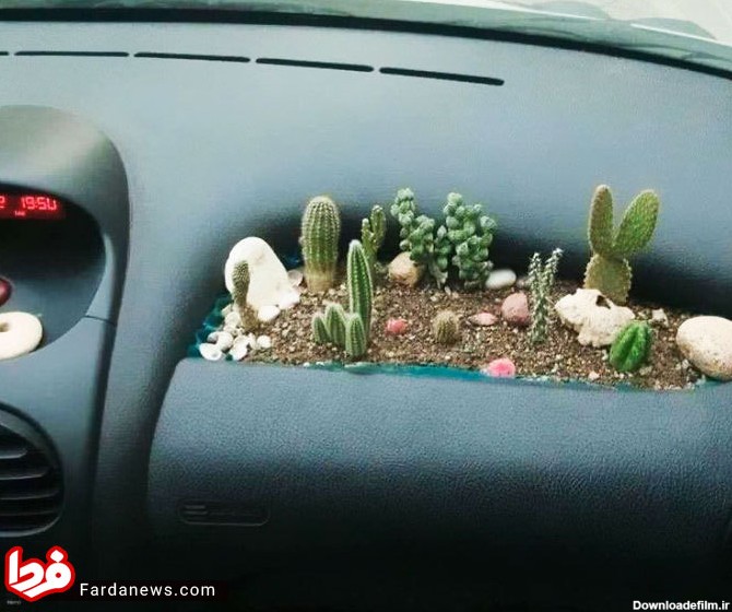 عکس: باغچه کاکتوس در خودرو ۲۰۶!