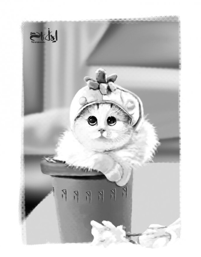 تصویر سازی گربه سفید - CGSector