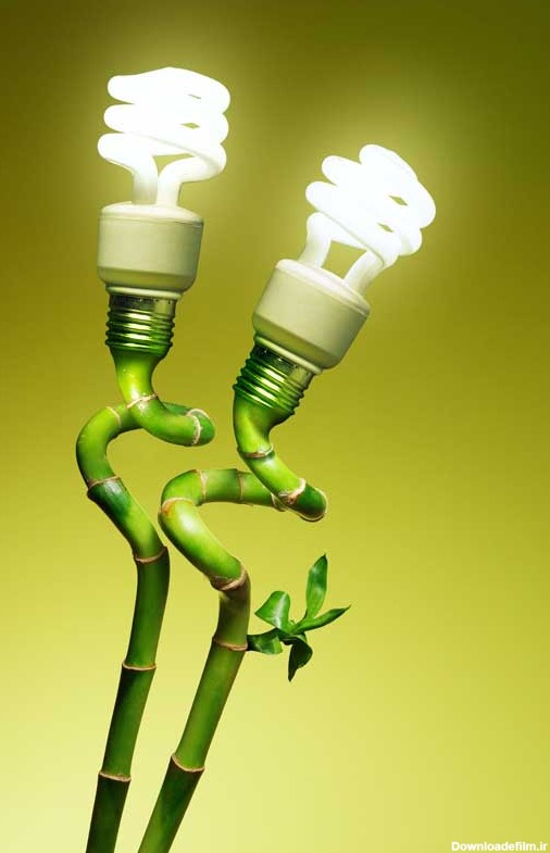 دانلود تصویر نمادین از لامپ های کم مصرف روی گل