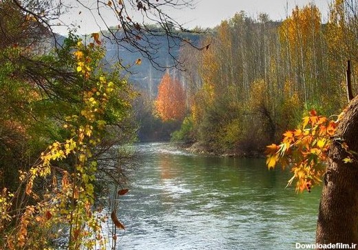 طبیعت بکر پاییزی در کنار زاینده رود/خروش رودخانه دردامان رنگ زرد ...
