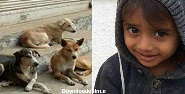 اولین عکس از کودک معصومی که خوراک سگ های ولگرد قشم شد + جزئیات