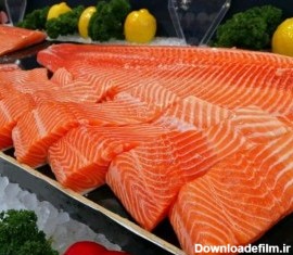 خواص و سلامت ماهی سالمون پرورشی بیشتر است یا دریایی ؟ + مقایسه