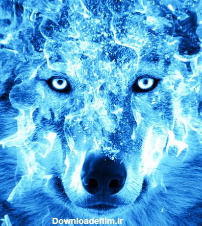 دانلود برنامه Ice Fire Wolf Wallpaper برای اندروید | مایکت