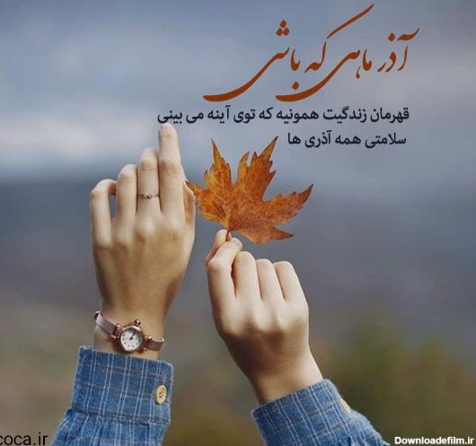 عکس از آذر ماهی ها