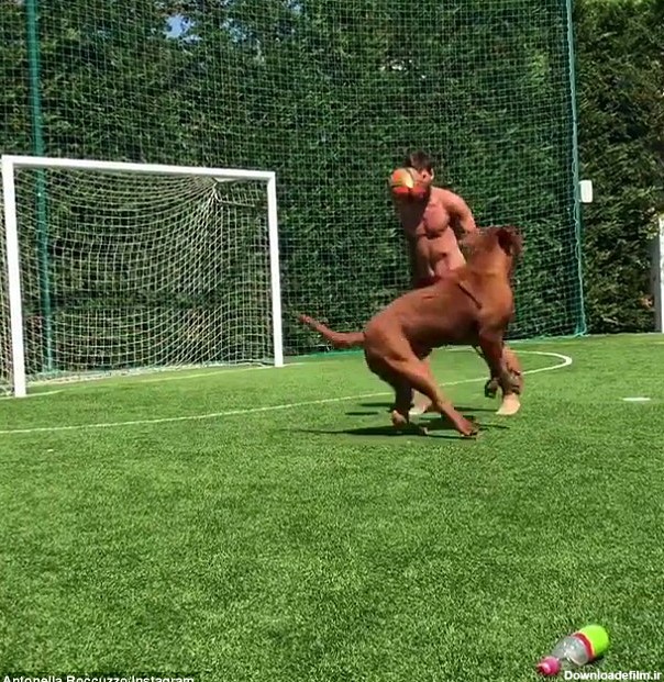 لیونل مسی به سگ خود هم رحم نمی کند! (عکس) | فوتبالی