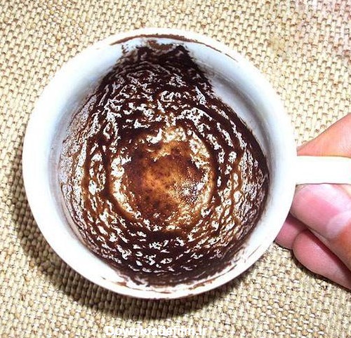 دیدن شیر در فال قهوه نشانه چیست؟ تعبیر کامل