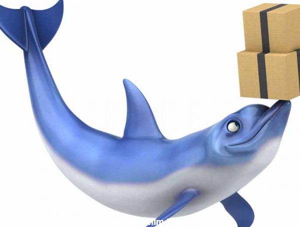 عکس کارتونی دلفین و جعبه های پستی