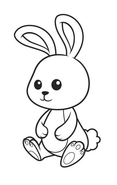 عکس خرگوش برای نقاشی
