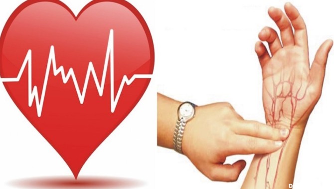 کاهش تعداد ضربان قلب با روش های طبیعی