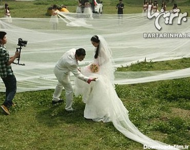 لباس عروس 520 متری + عکس