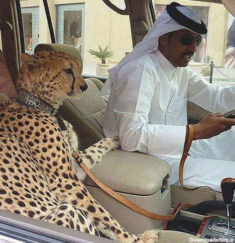 آخرین خبر | عکس/ زندگی عجیب بچه پولدار های دبی