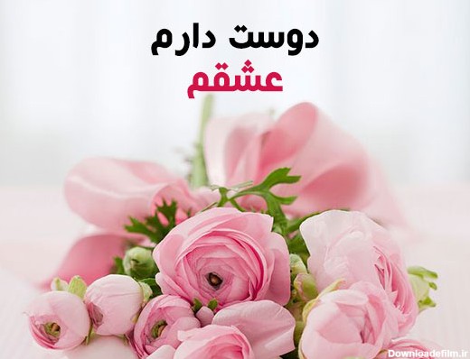 متن گل رز عاشقانه + مجموعه اشعار عاشقی با موضوع گل رز سرخ