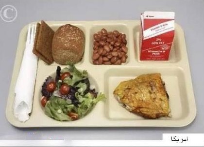 مقایسه غذای دانشجوی ایرانی با سایر ملل!