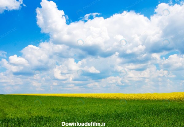 عکس طبیعت چمنزار با آسمان ابری - مرجع دانلود فایلهای دیجیتالی