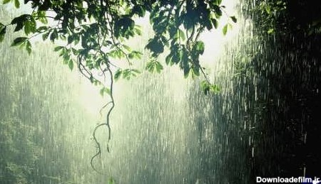 تصاویر تماشایی از طبیعت در باران - تصاوير بزرگ - بهار نیوز