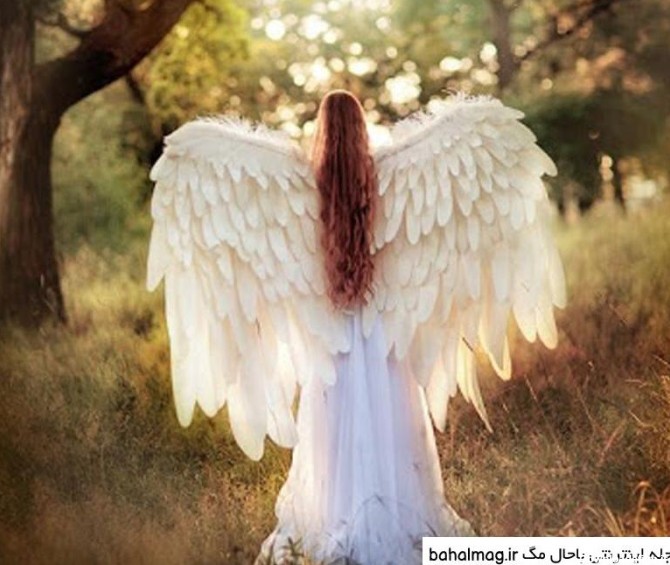 تبادل نظرهای فرشتهangel | نی نی سایت