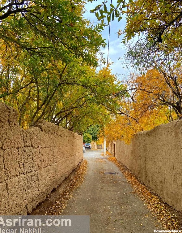 پاییز دل‌انگیز کوچه‌های کاه‌گلی تفت در یزد (عکس)
