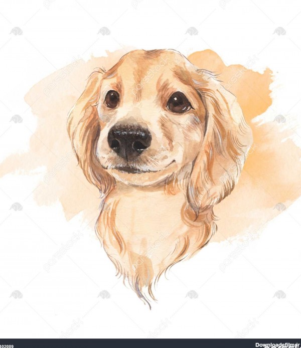 عکس نقاشی سگ ناز