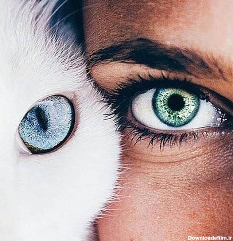 کپشن چشم رنگی و جملات احساسی برای چشم رنگی (سبز، آبی و ...)