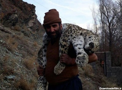 مرگ مشکوک پلنگ در مازندران/ عکس - خبرآنلاین