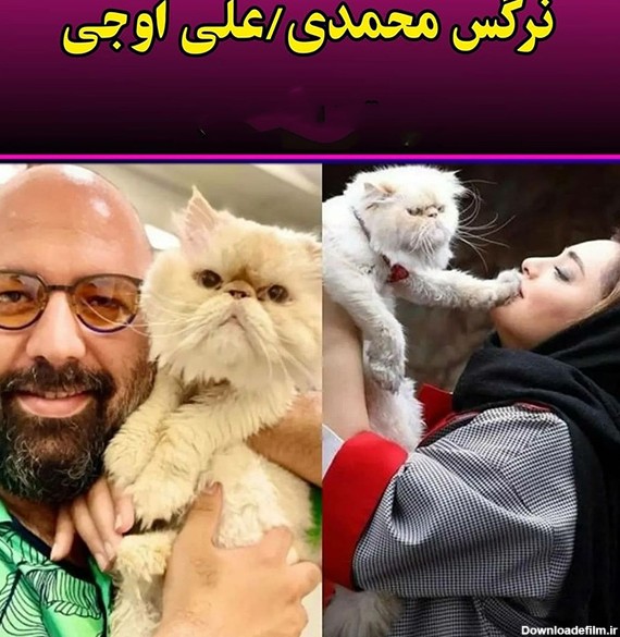 این بازیگران ایرانی حیوان خانگی میلیونی دارند ! + عکس ها و اسامی