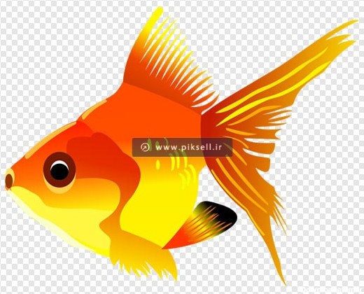 دانلود تصویر کارتونی دوربری شده ماهی طلایی با پسوند png