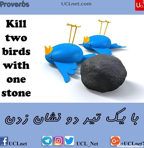 با یک تیر دو نشان زدن – Kill two birds with one stone – ضرب المثل های انگلیسی – English Proverb